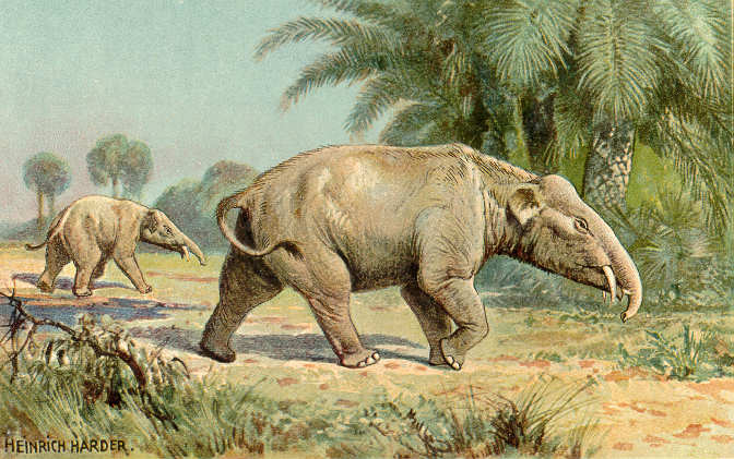 Paleomastodon (Heinrich Harder)