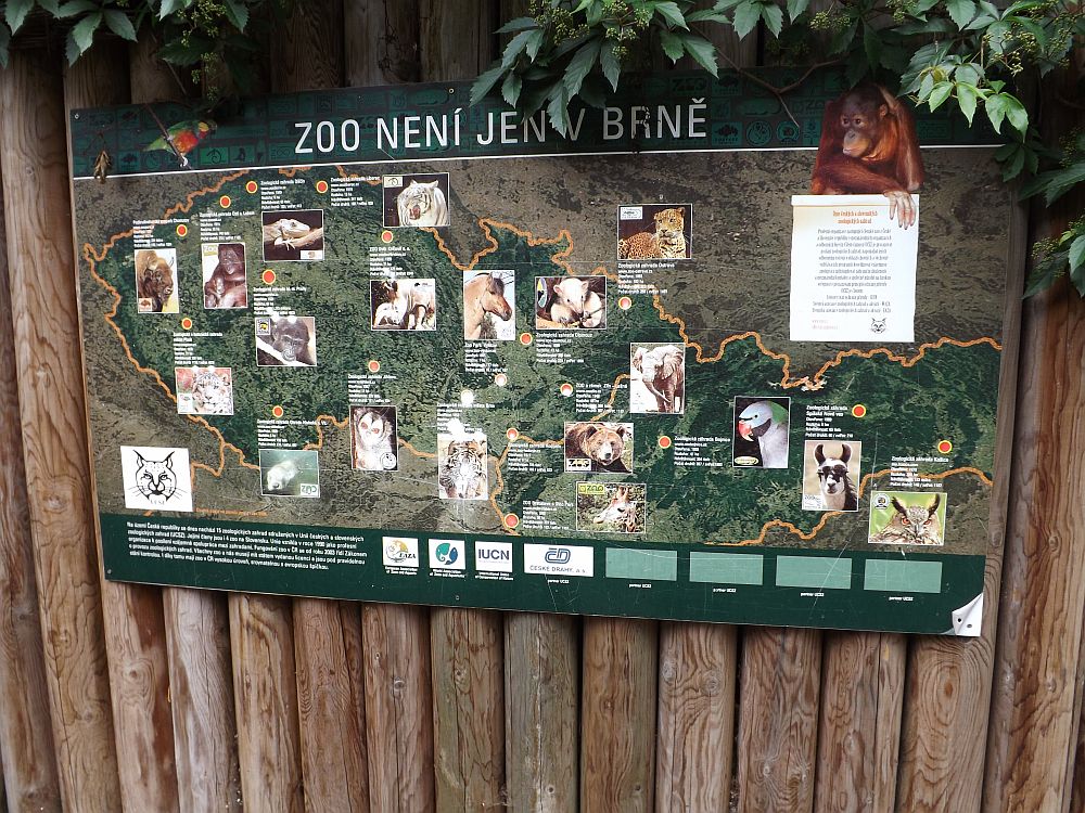 Zoos in Tschechien (gesehen im Zoo Brno)