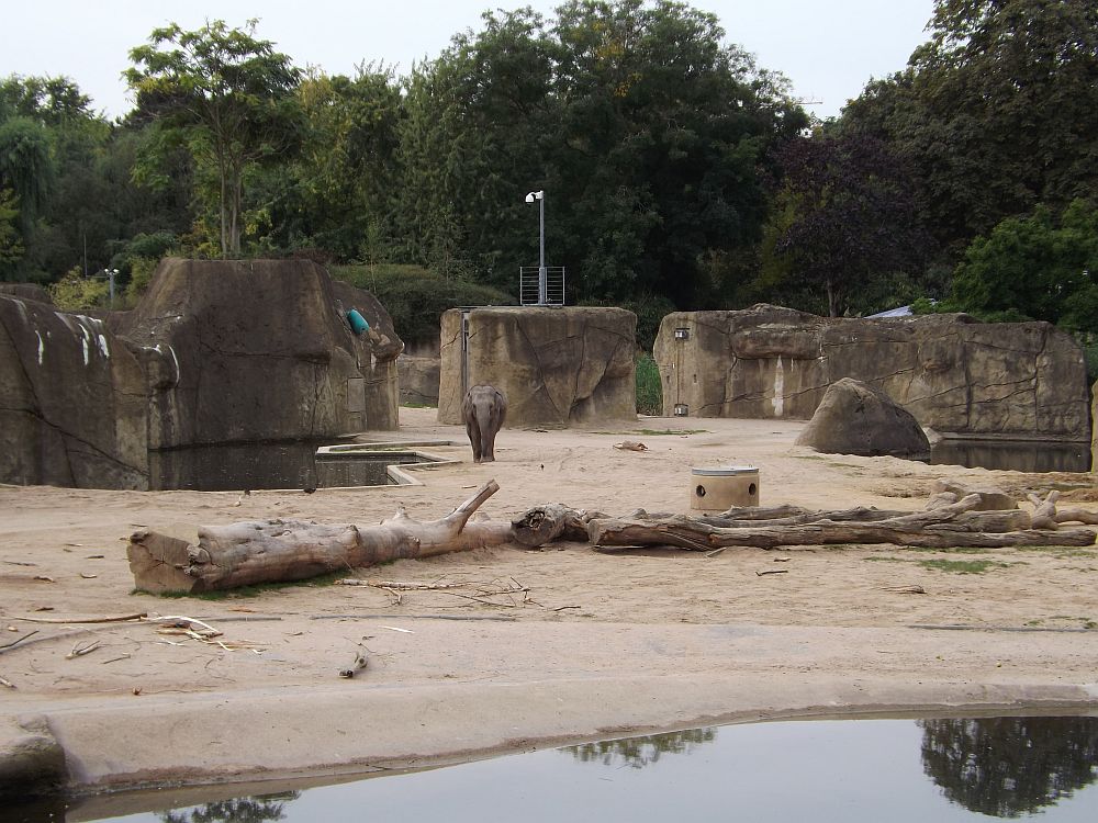Elefantenanlage (Zoo Köln)