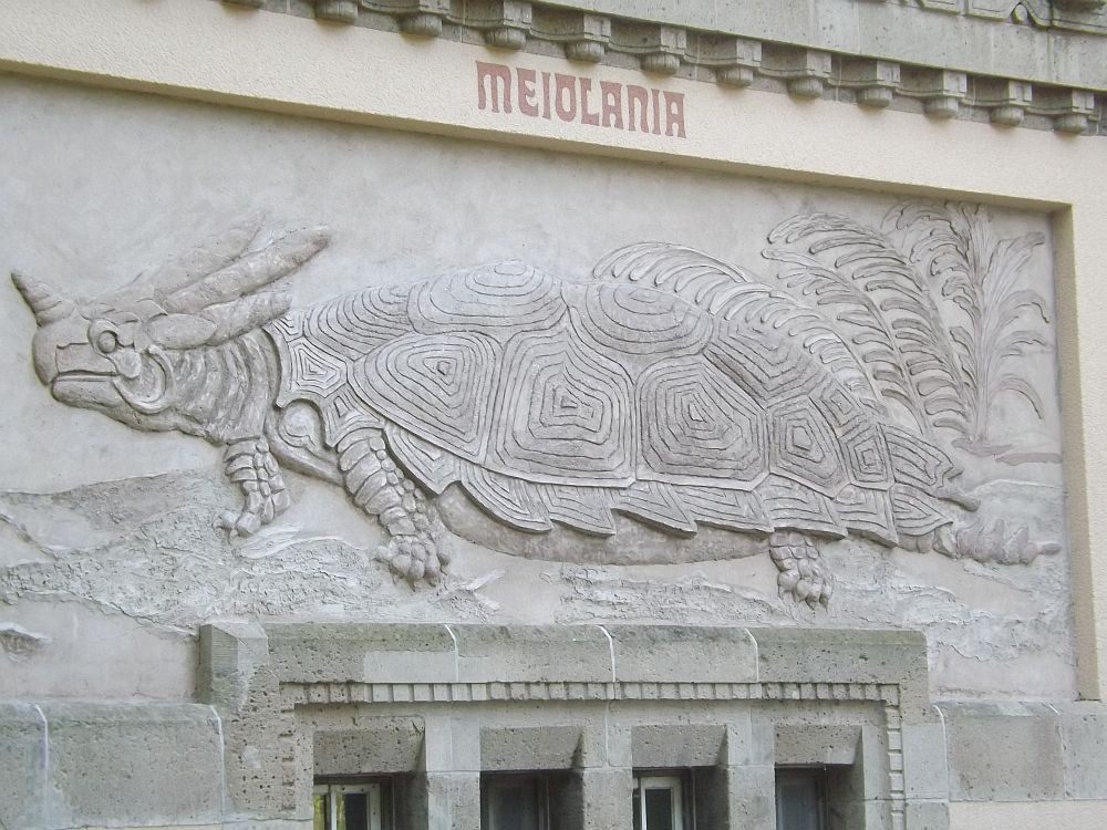 Meiolania von Heinrich Harder an der Fassade des Aquarium Berlin