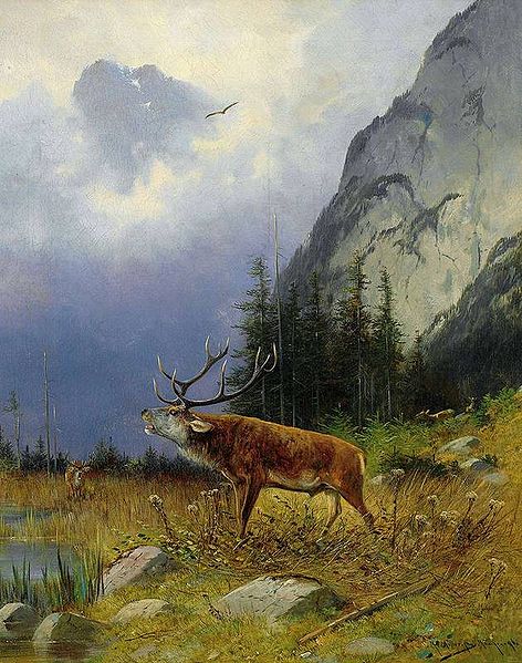 Röhrender Hirsch auf einer Lichtung vor Fels (Moritz Müller, 1896)
