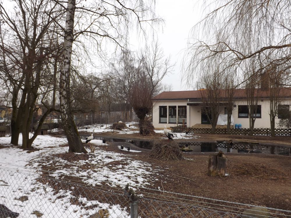 Storchenwiese mit Gaststätte im Hintergrund (Zoologischer Garten Hof)