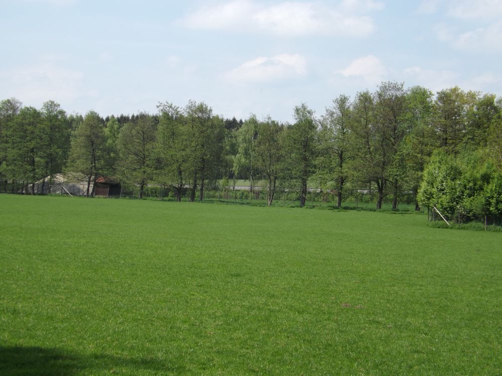 Damhirschgehege mit Elchgehege im Hintergrund (Wildpark Poing)