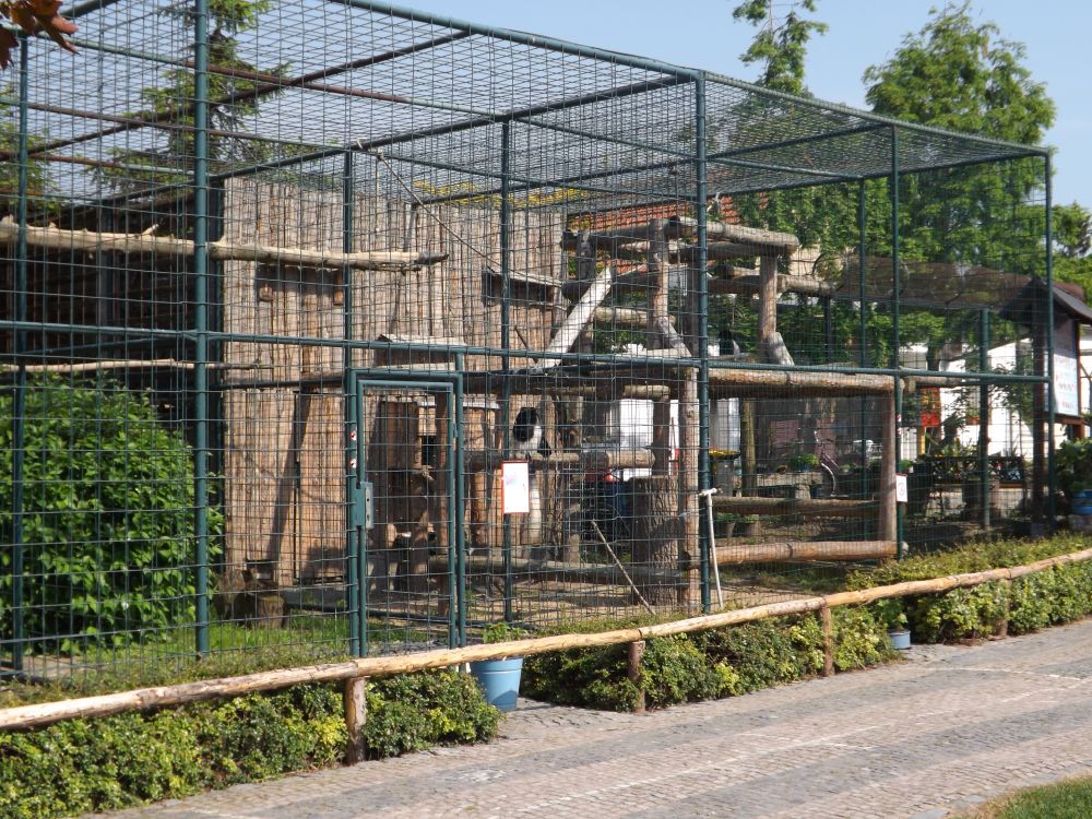 Greifvögel und Affen (Zoo Chleby)
