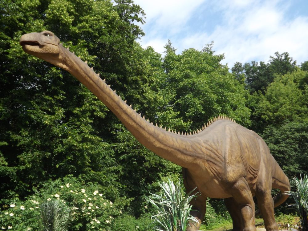 Diplodocus (Dinopark Vyskov)
