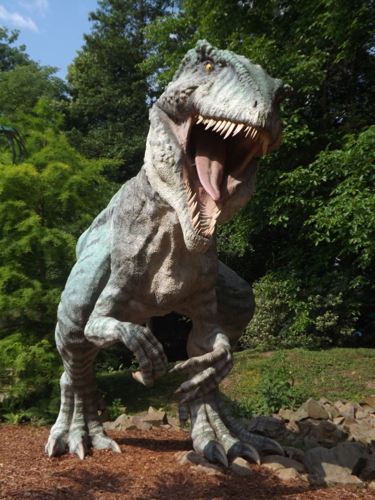 Giganotosaurus (Dinopark Vyskov)