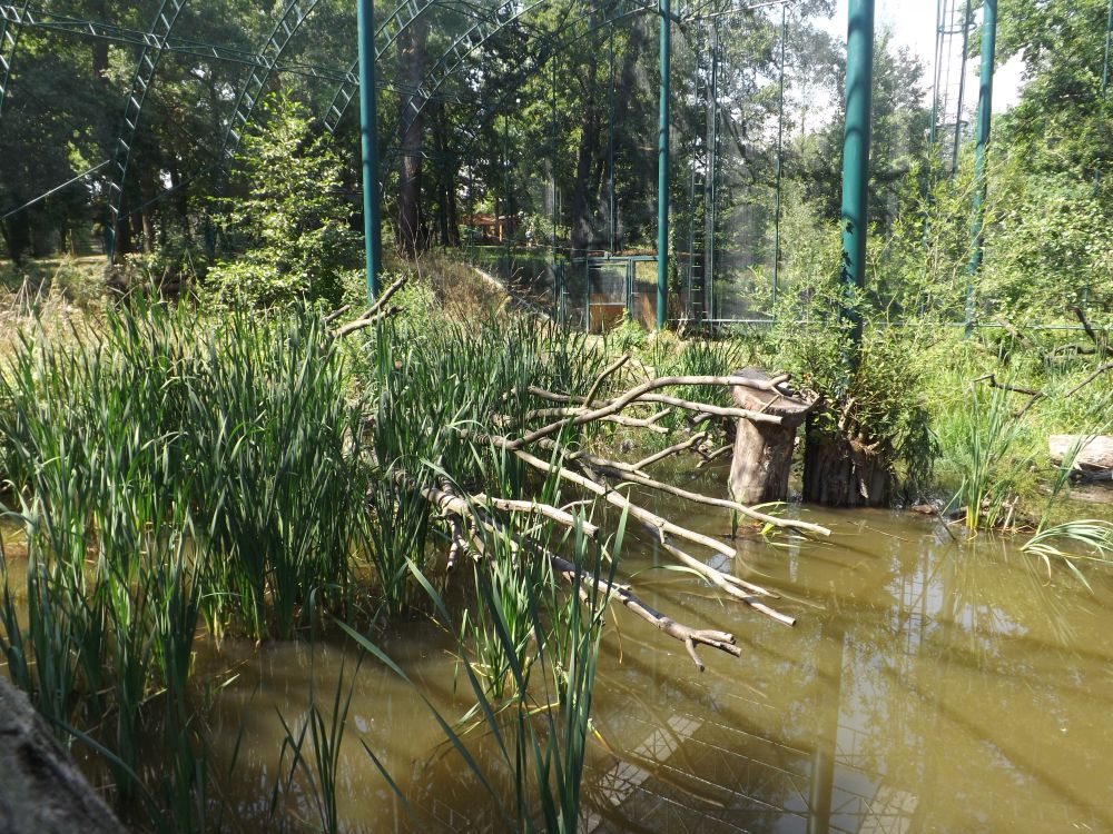Kleinvogelvoliere (Zoopark Chomutov)