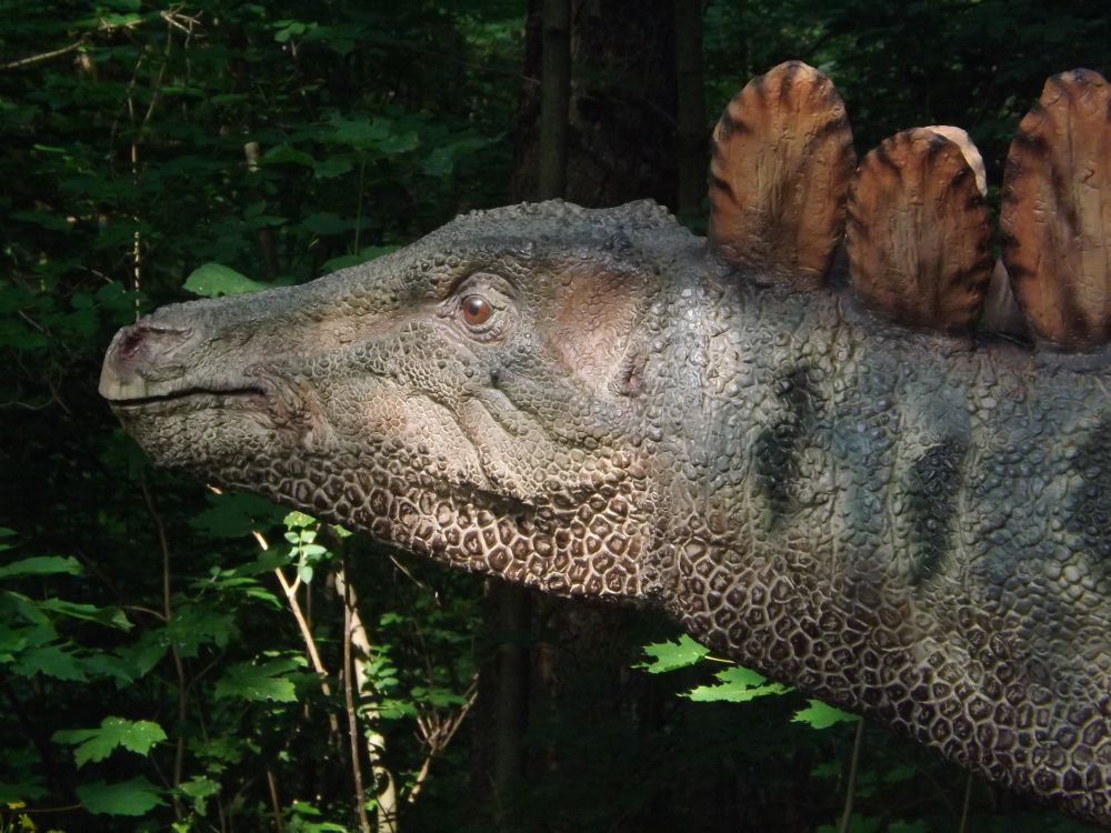 Stegosaurus (Dinopark Vyskov)