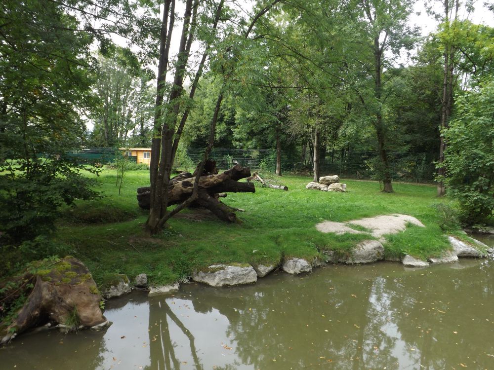 Gepardenanlage (Zoo Salzburg)