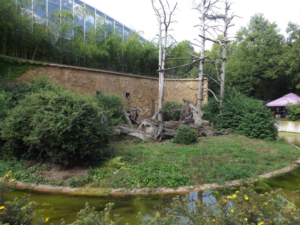 Außenanlage der Mandrills (Zoo Dresden)