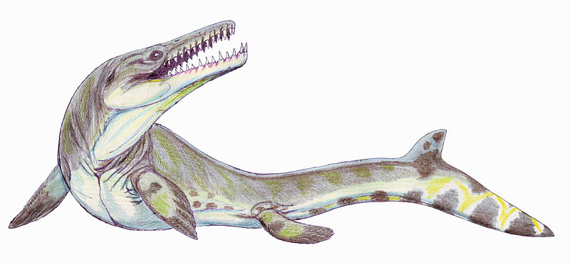 Goronyasaurus nigerensis (Dmitry Bogdanov)