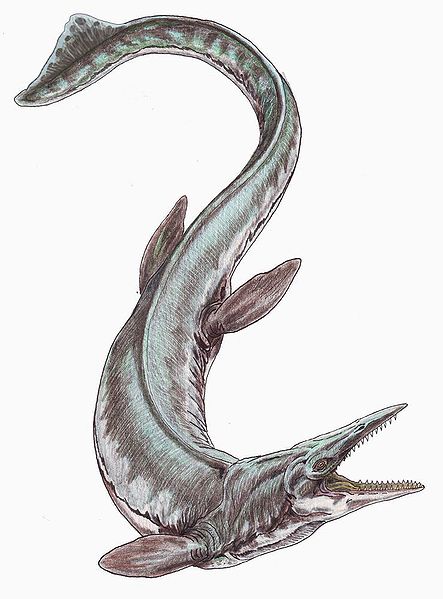 Tylosaurus proriger (Dmitry Bogdanov)