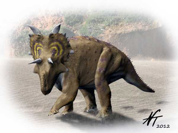 Xenoceratops foremostensis (© N. Tamura)
