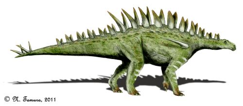 Huayangosaurus taibaii (© N. Tamura)