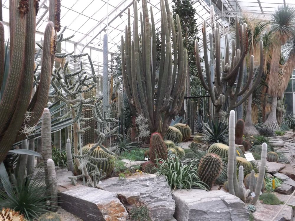 Botanischer Garten München