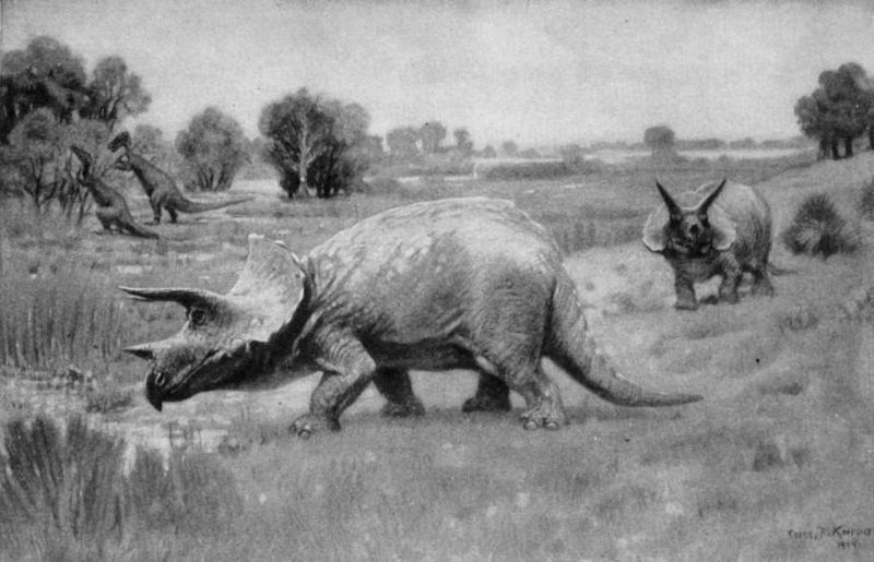 Triceratops (Charles R. Knight)