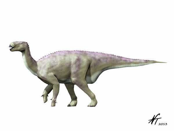 Iguanodon bernissartensis (© N. Tamura)