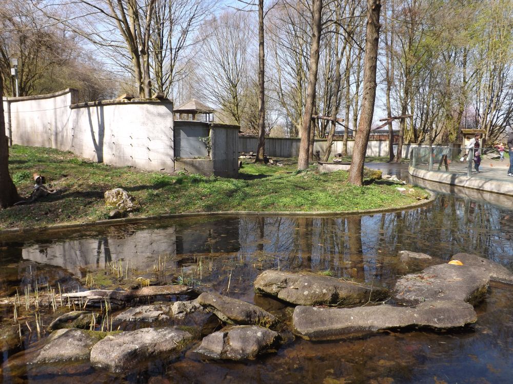Anlage für Fischotter und Waschbären (Tiergarten Straubing)