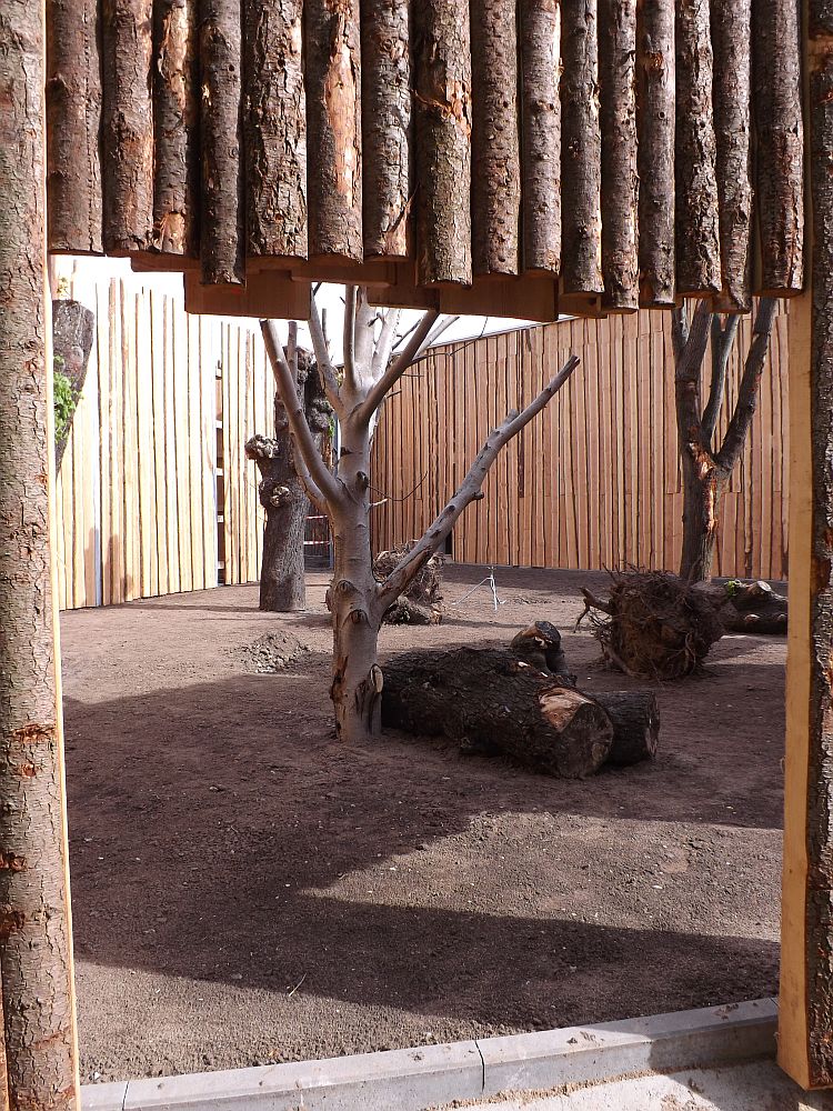 Schimpansenhaus (Zoo Magdeburg)