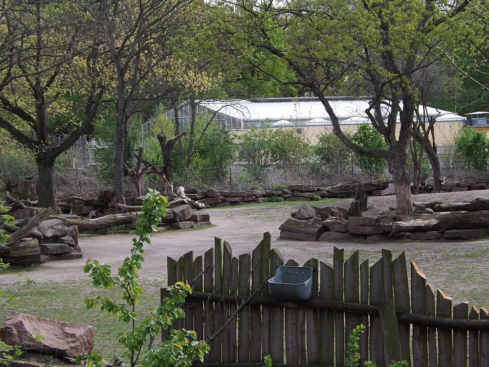 Africambo (Zoo Magdeburg)