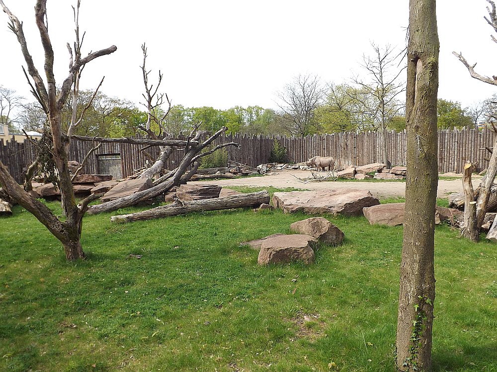Anlage für Nashörner und Guerezas (Zoo Magdeburg)