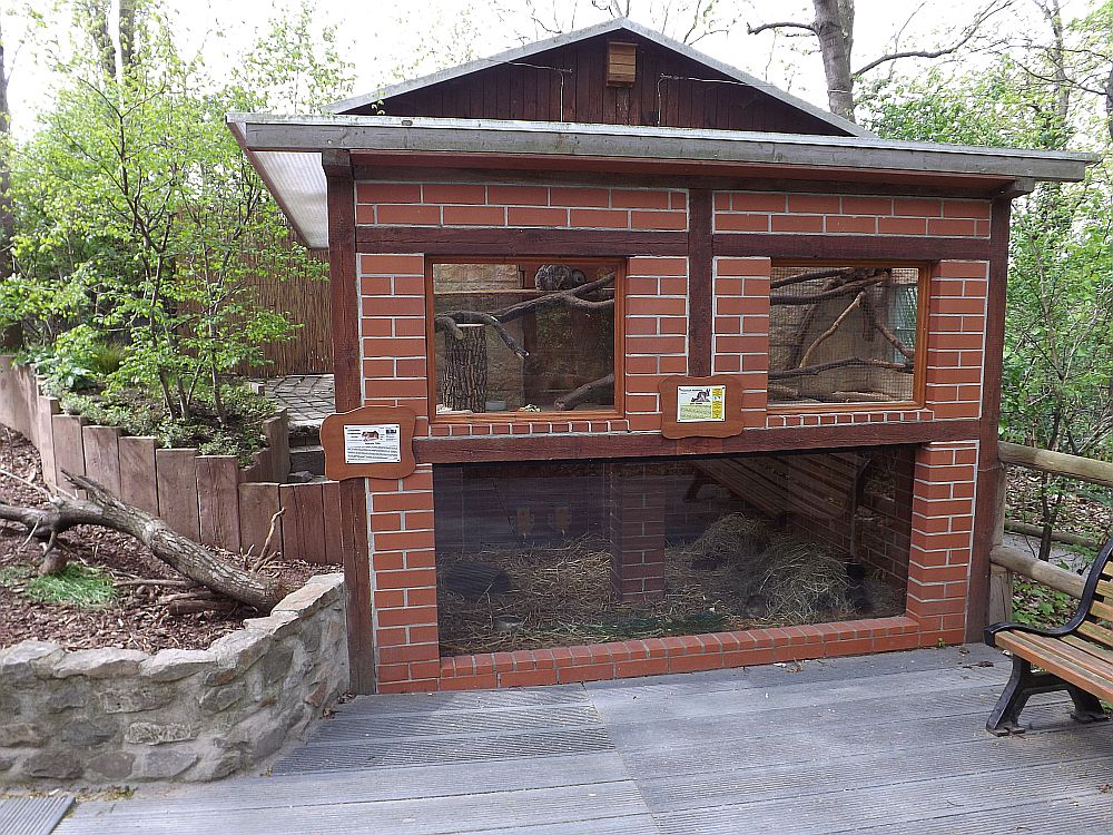 "Haus" für Hasenmäuse und Sumpfmeerschweinchen (Heimattiergarten Bierer Berg)