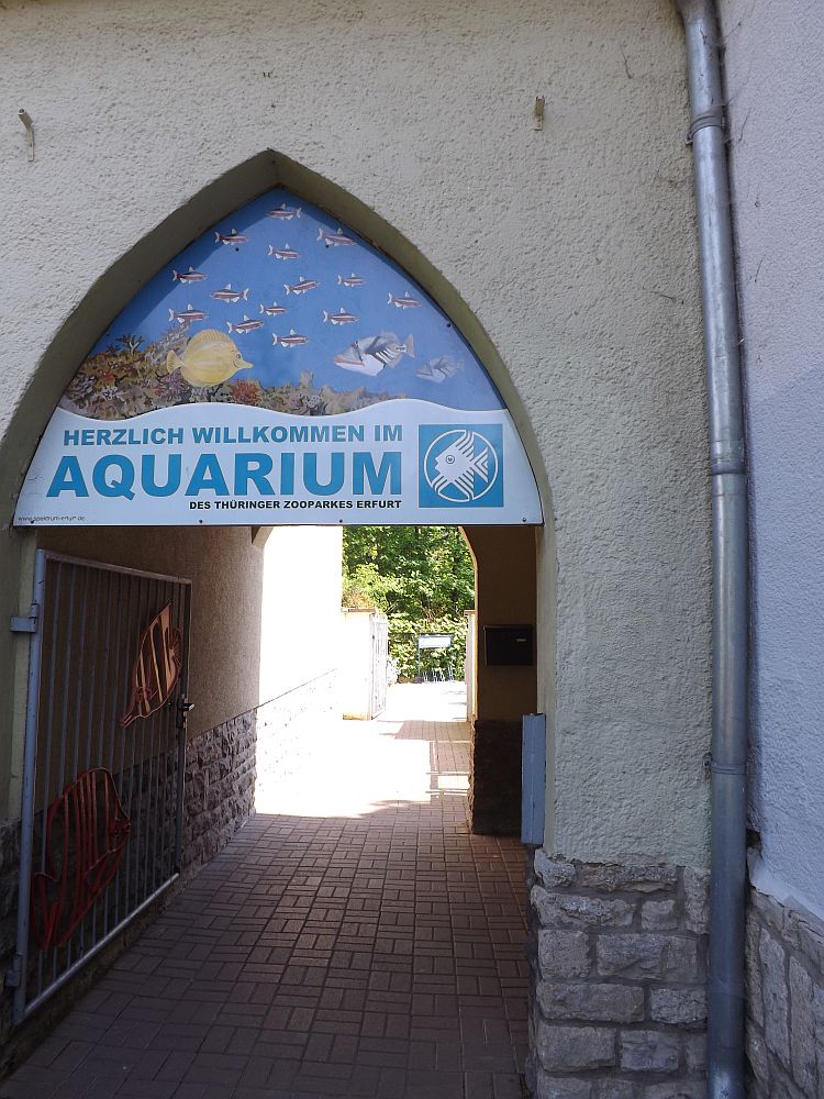 Eingang (Aquarium Thüringer Zoopark)