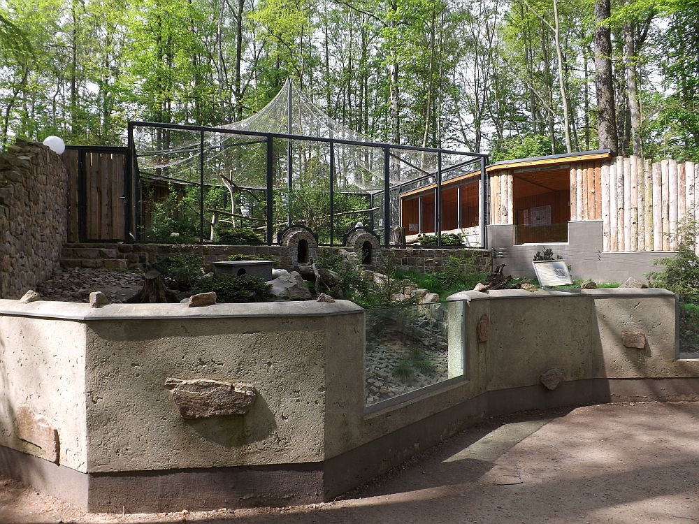 Polaris (Tierpark Hirschfeld)