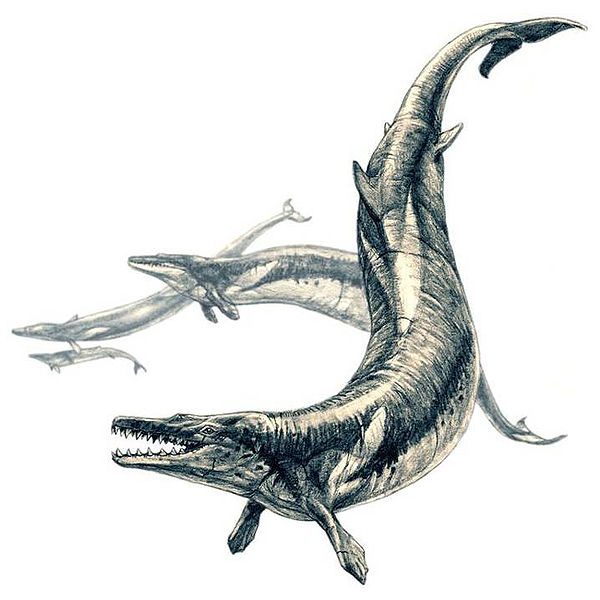 Basilosaurus (Pavel Riha)