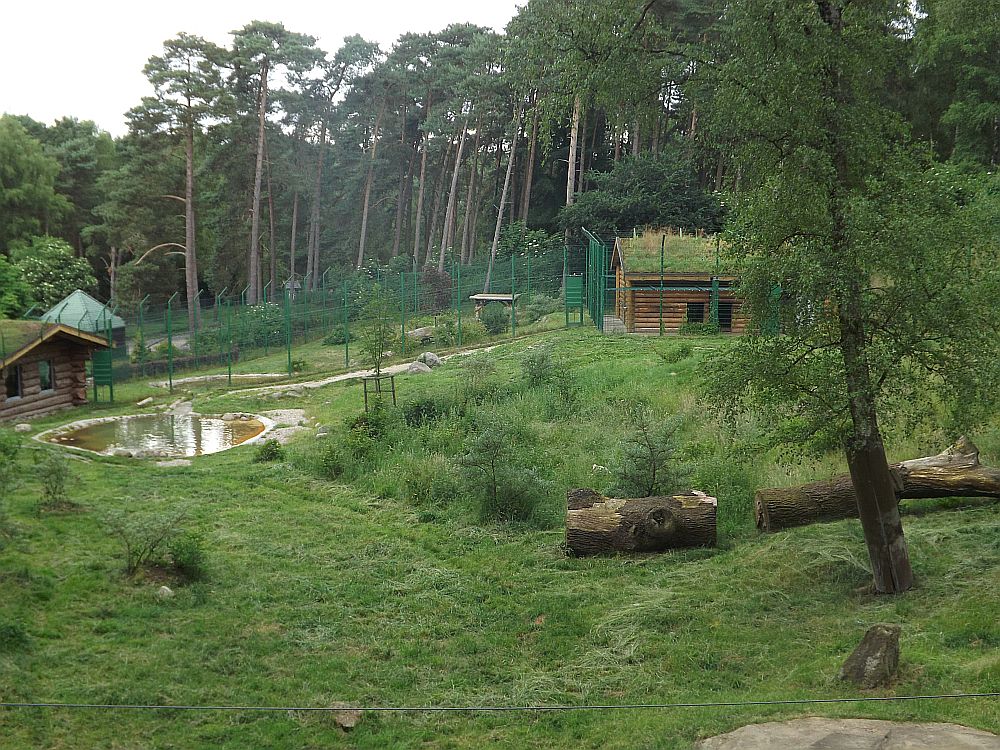 Tigeranlage (Wildpark Lüneburger Heide)