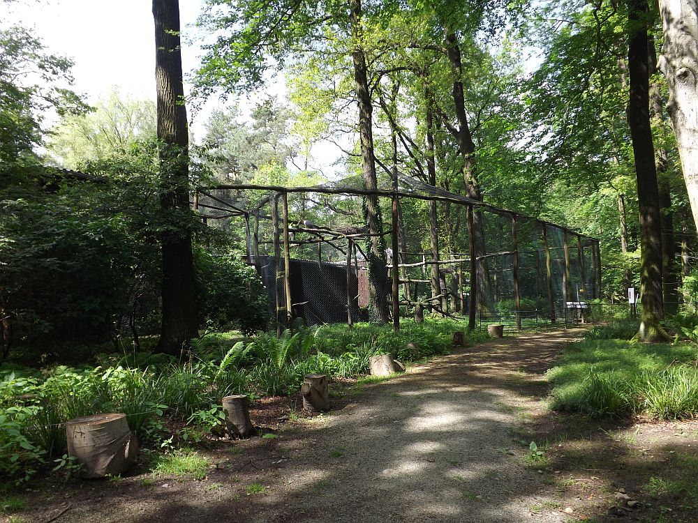 Waldstorchanlage (Tierpark Cottbus)