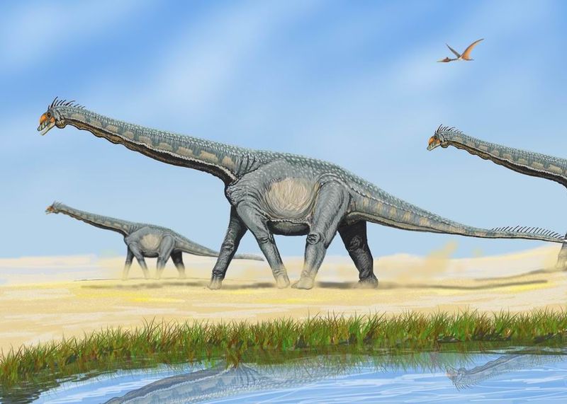 Alamosaurus (Dmitry Bogdanov)