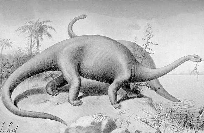 Apatosaurus (Joseph Smit)