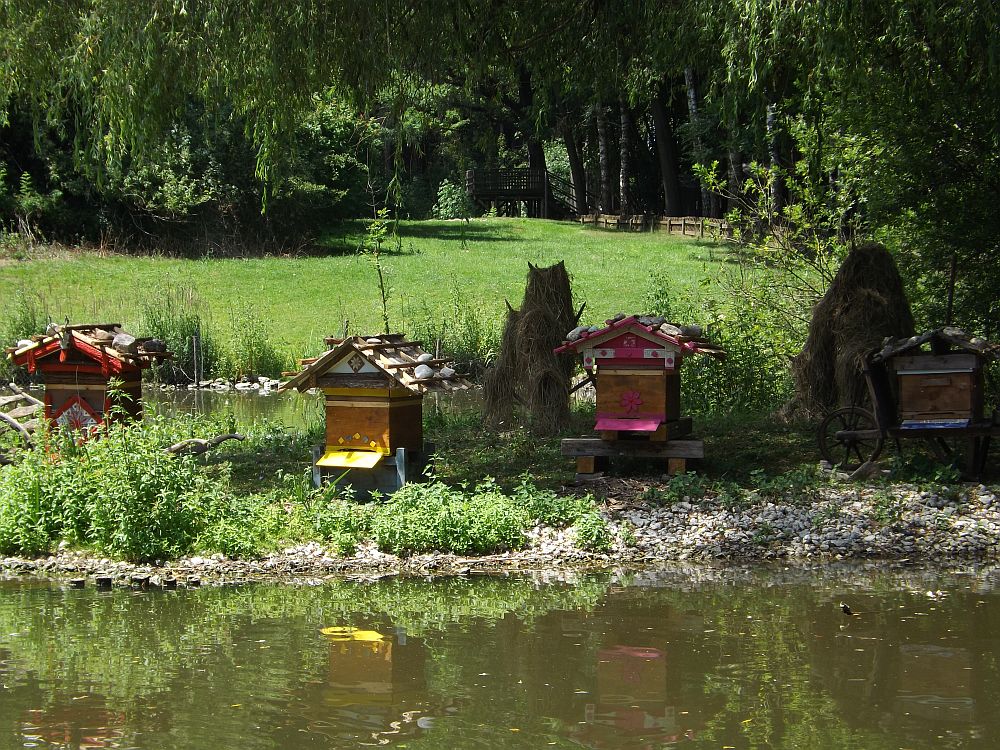 Bienen am Großen Teich (Wildpark Poing)