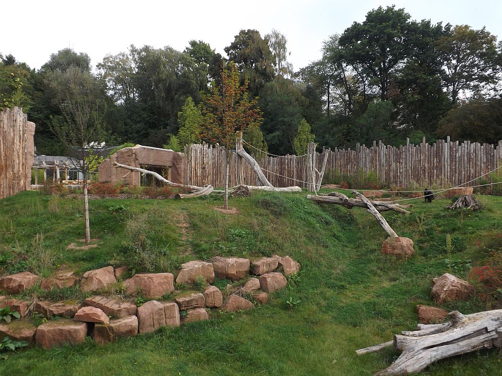 Außenanlage der Gorillas (Zoo Saarbrücken)