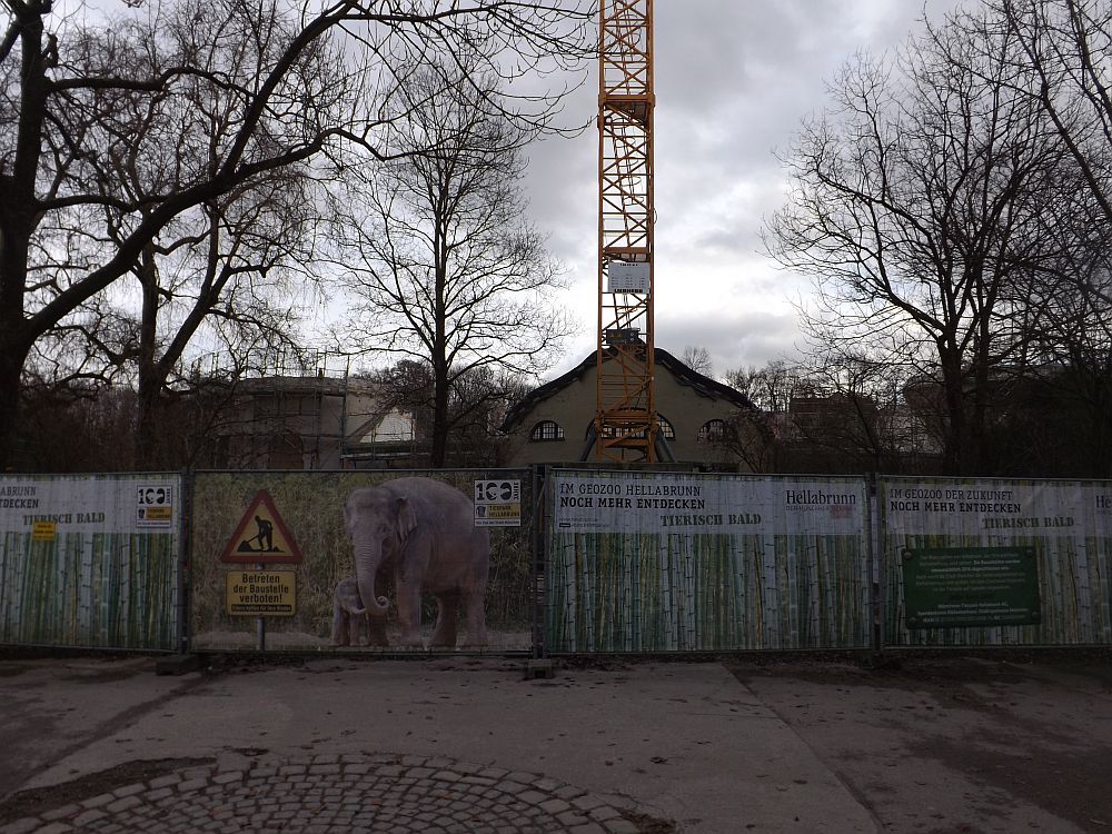 Baustelle Elefantenhaus (Tierpark Hellabrunn)