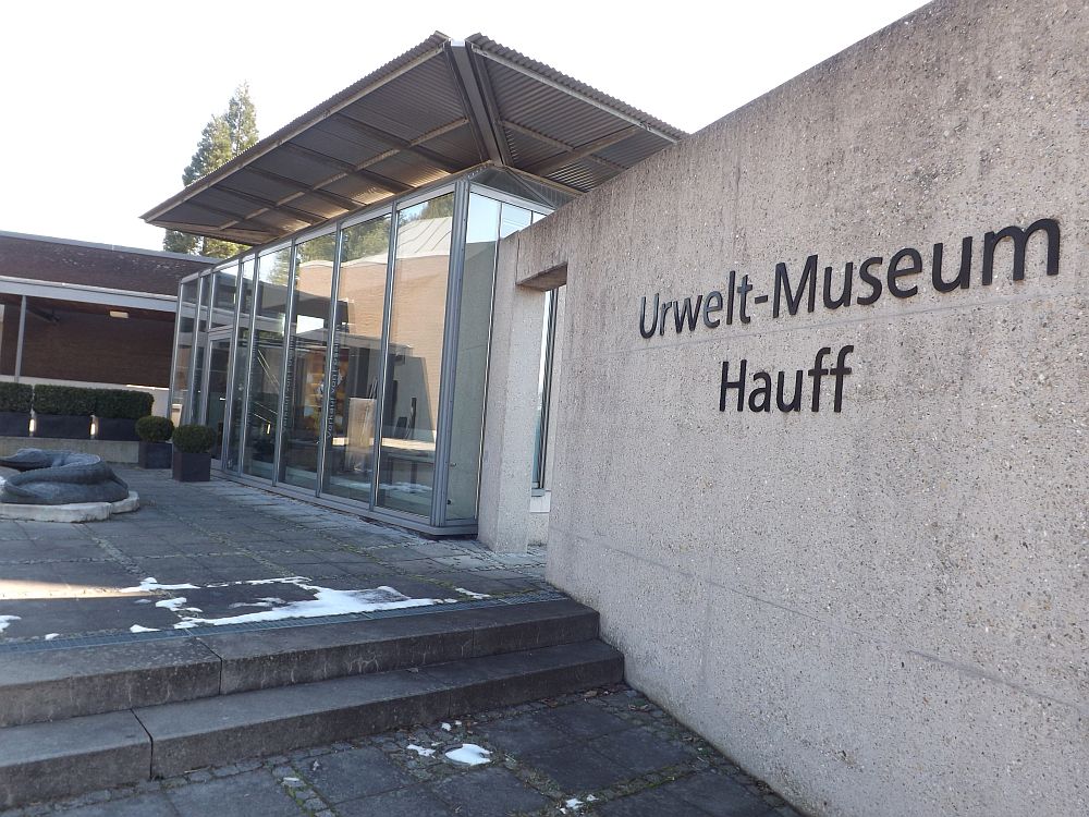 Urwelt-Museum Hauff