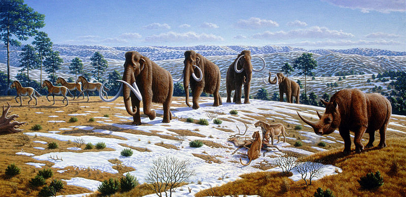 Eiszeit im nördlichen Spanien (Mauricio Antón, "What Killed the Woolly Mammoth?". PLoS Biology 6 (4): e99. DOI:10.1371/journal.pbio.0060099)