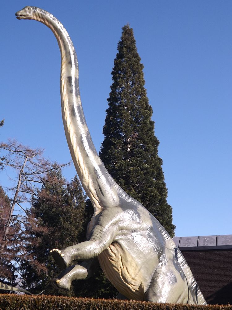 Brachiosaurus (Urweltmuseum Hauff)