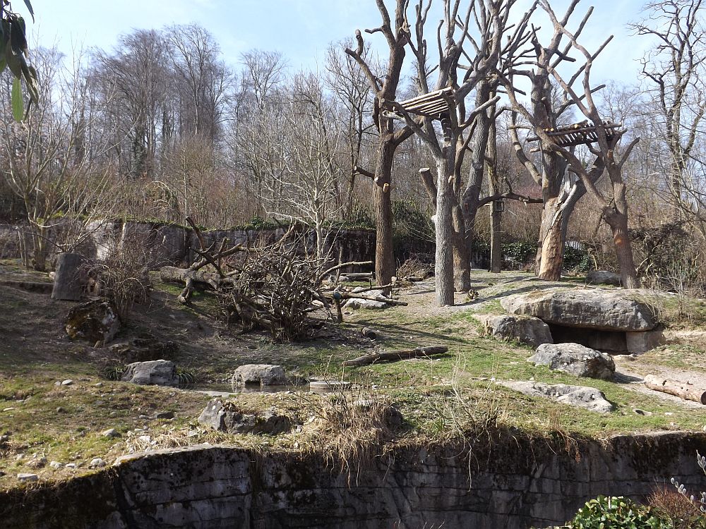 Anlage für Nasen- und Brillenbären (Zoo Zürich)