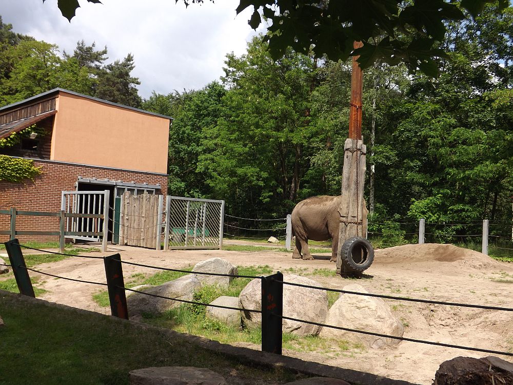Elefantenanlage (Tierpark Cottbus)