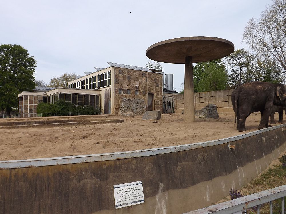 Elefantenhaus (Zoo Magdeburg)