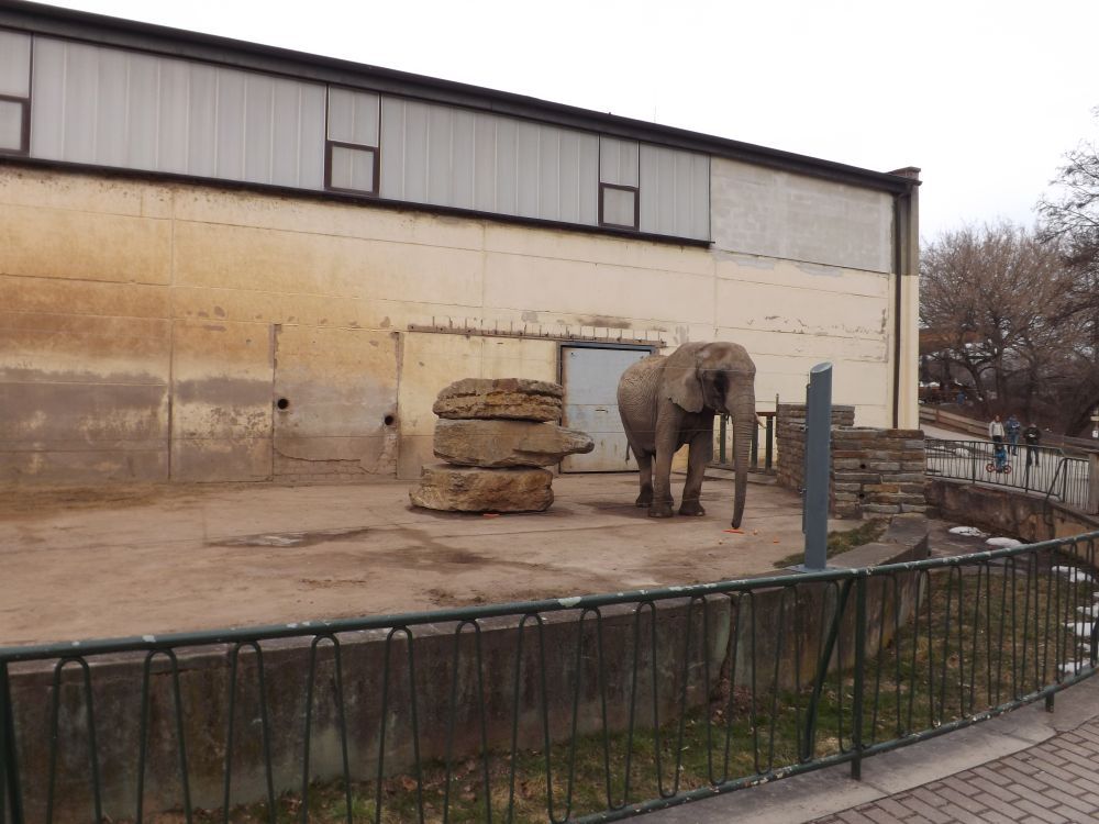 Alte Elefantenanlage (Thüringer Zoopark)