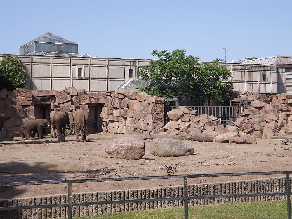 Elefantenanlage (Tierpark Berlin)