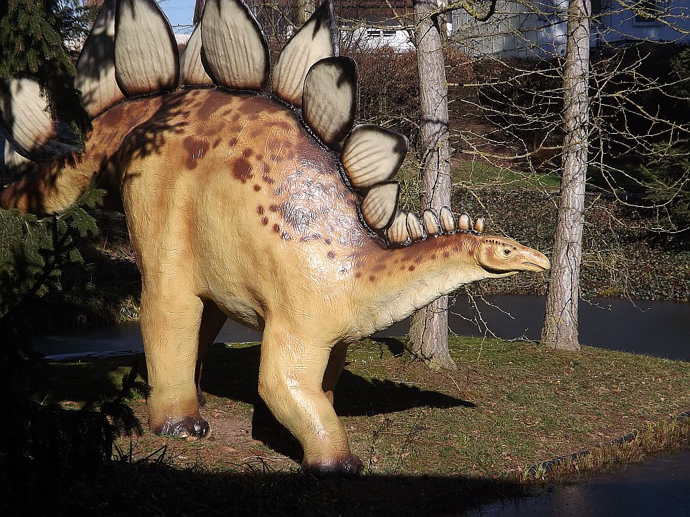 Stegosaurus (Urweltmuseum Hauff)