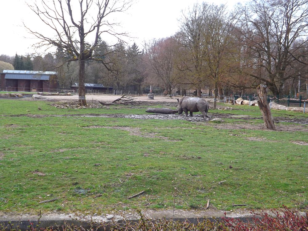 Afrikasavanne (Zoo Augsburg)