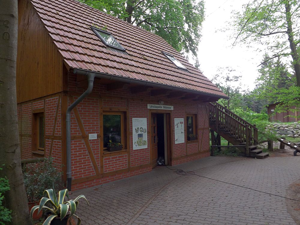 Ameisenlehrpavillion (Zoo Eberswalde)