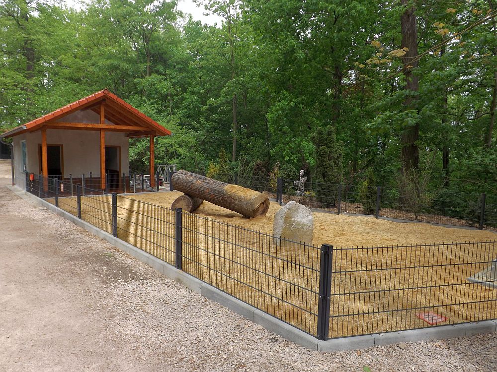 Baustelle: Minischweinstall (Tierpark Hirschfeld)