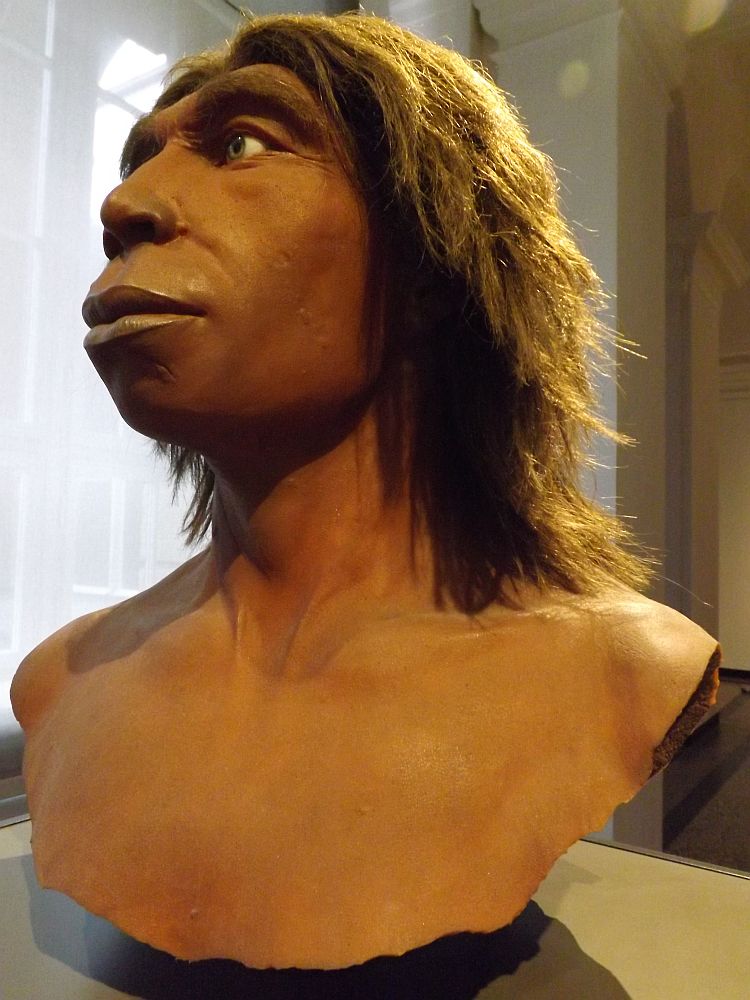 Neandertaler(Landesmuseum Hessen Darmstadt)