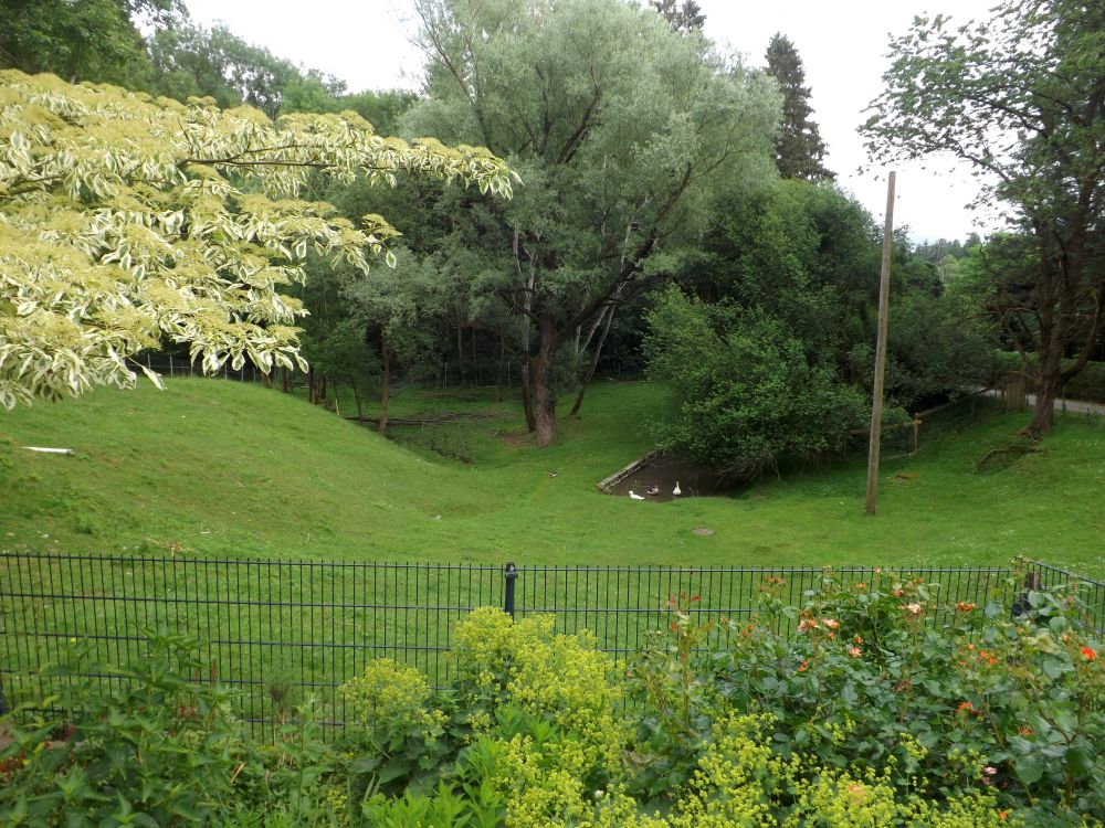 Vogelwiese (Tiergarten und Reiterhof Walding)